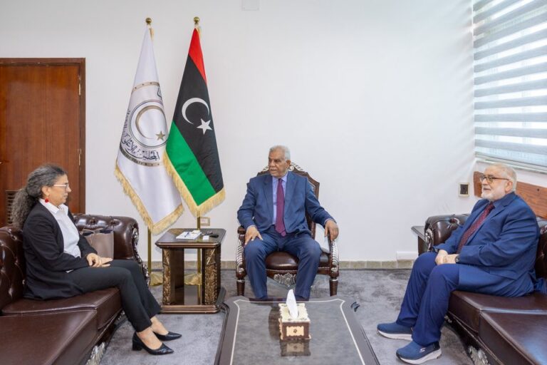 المجلس الأعلى للدولة يبحث مع بعثة الأمم العملية السياسية في ليبيا اللقاء