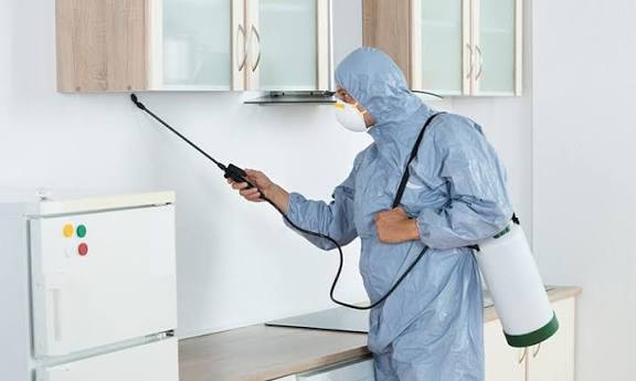 أفضل شركة للتخلص من الفئران ومكافحة الحشرات افضل شركة ابادة حشرات