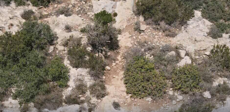 اكتشاف طريق أثرية قديمة بين المرج وطلميثة طريق أثرية قديمة